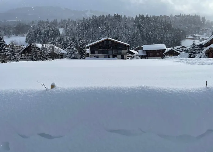Chalet Esquinade 4 Bedrooms Appartment Megeve